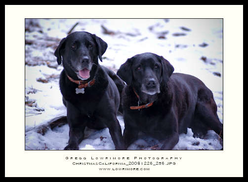 Jesse and Maddux The Girls - Jesse and Maddux